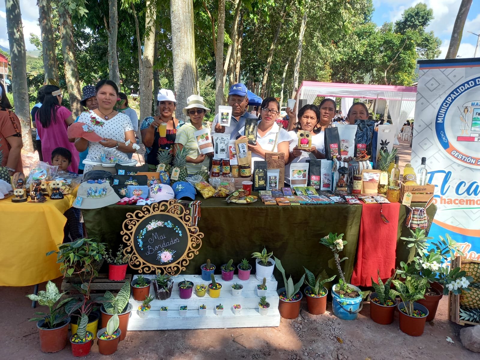 Paisaje cacaotero